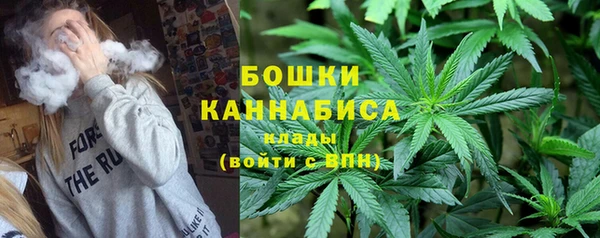 ПСИЛОЦИБИНОВЫЕ ГРИБЫ Аркадак